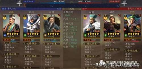 赵云打肉的阵容搭配_平民赵云搭配什么阵容