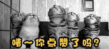 保卫萝卜2170-保卫萝卜4
