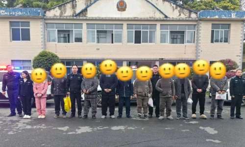 鲨鱼机在哪可以购买-飞禽走兽鲨鱼机价格
