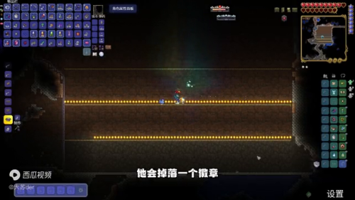 迷你世界沙漠古墓怎么找-迷你枪战精英野人雨林新地图