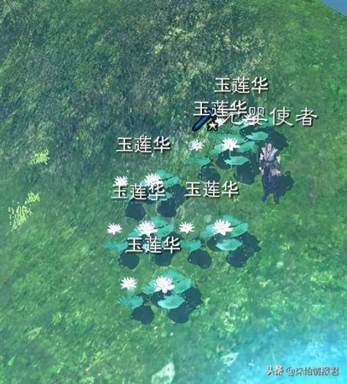 诛仙3青云变怎么获得-诛仙3高端青云细节