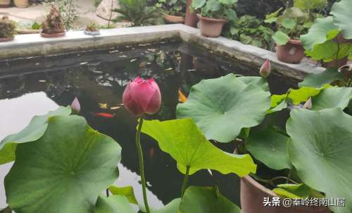我的世界茶台怎么用-我的世界茶几怎么做