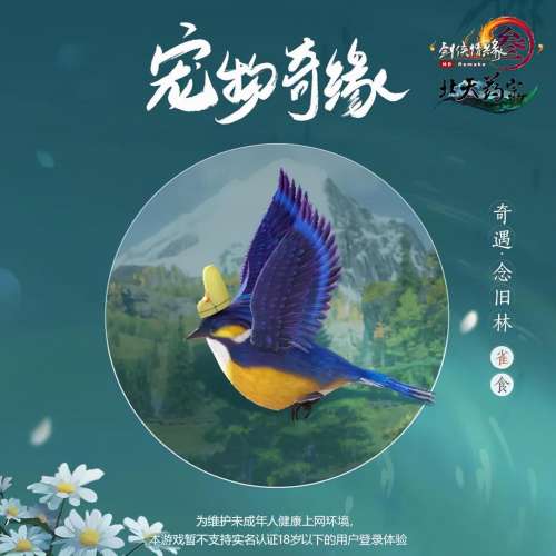 剑三怎么看宠物cd-剑网三新版本宠物奇遇