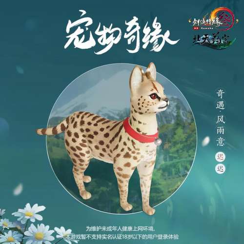 剑三怎么看宠物cd-剑网三新版本宠物奇遇