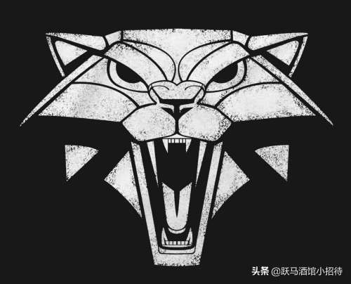 猎魔人敏捷有什么用-猎魔人的战斗力