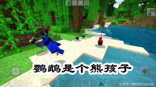 我的世界鹦鹉怎么跳舞-我的世界鹦鹉没血了