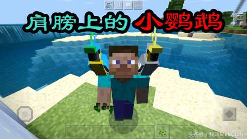 我的世界鹦鹉怎么跳舞-我的世界鹦鹉没血了