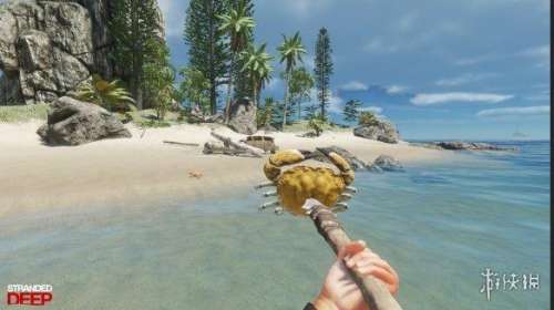 荒岛求生有ps4版本吗-ps4荒岛生存类游戏