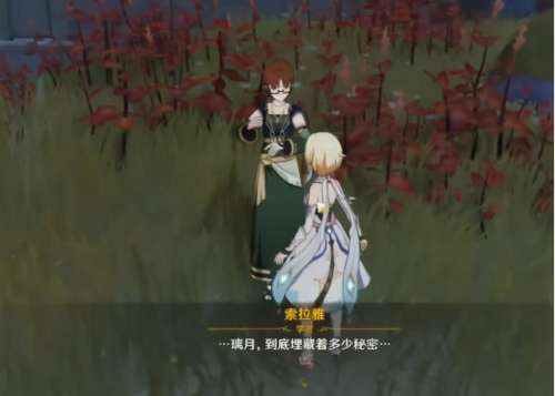 原神奇怪的圆盘最北边的怎么开-原神的奇怪的圆盘在哪