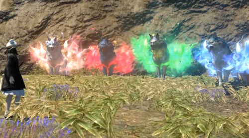 ff14如何骑坐骑-ff14坐骑任务在哪