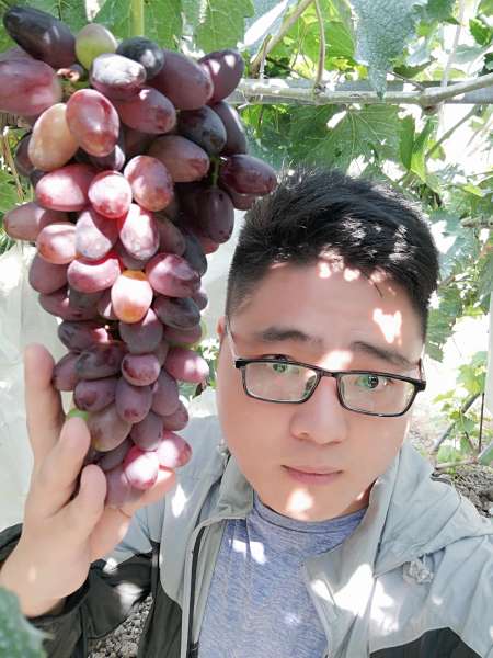 红宝石金手指在哪使用-终极红宝石金手指怎么用
