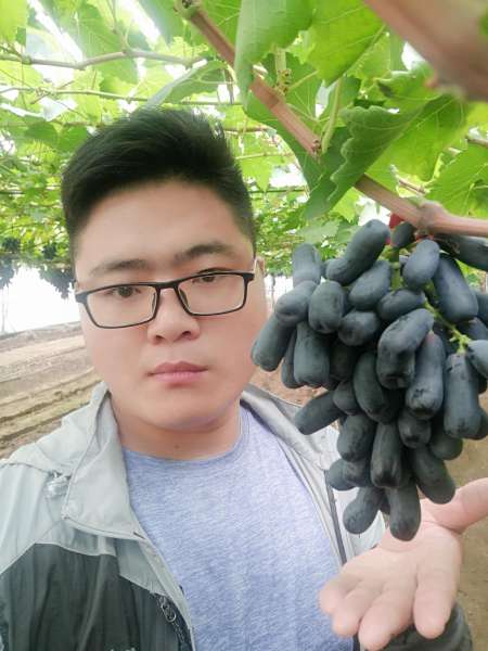 红宝石金手指在哪使用-终极红宝石金手指怎么用