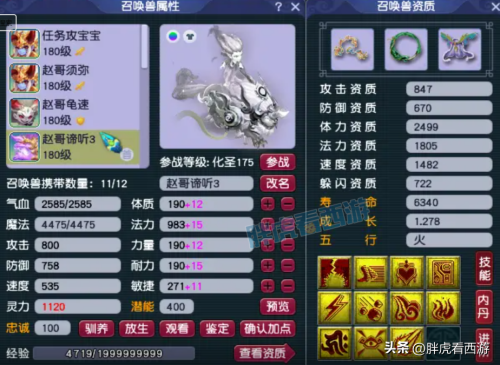梦幻西游神兜兜和灵兜兜-梦幻西游灵兜兜礼包多少钱