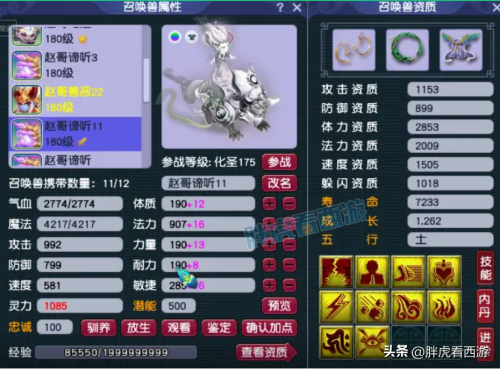 梦幻西游神兜兜和灵兜兜-梦幻西游灵兜兜礼包多少钱