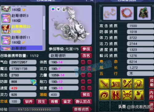 梦幻西游神兜兜和灵兜兜-梦幻西游灵兜兜礼包多少钱