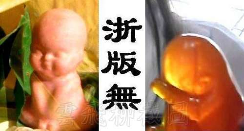 造梦西游3宣花葫芦和萱花红葫芦-造梦西游三宣花红葫芦