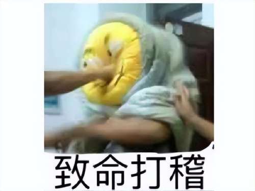 碧蓝航线动态立绘怎么显示-碧蓝航线大破立绘