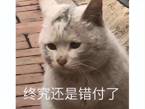魔兽世界卓格巴尔-魔兽史上最神秘的npc