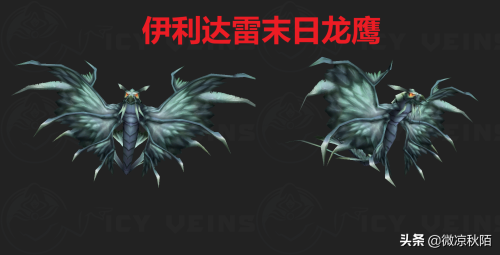 魔兽世界马戏团声望buff-wow声望坐骑