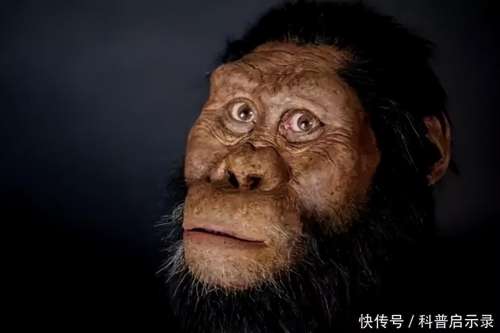 石器橙猩猩怎么去-石器时代英雄岛怎么去