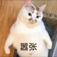完美日记小鹿盘什么时候出-完美日记动物盘什么时候出的
