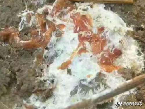 问道加蓝的药都有什么-问道买蓝什么药最划算