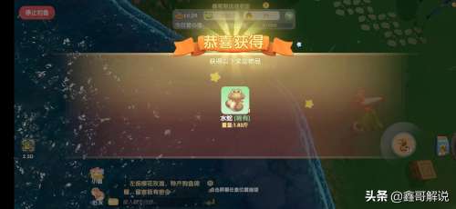 摩尔庄园阳光酥油肉松攻略-摩尔庄园全部攻略 摩尔庄园阳光酥油肉松攻略-摩尔庄园全部攻略