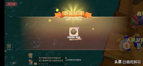 摩尔庄园阳光酥油肉松攻略-摩尔庄园全部攻略 摩尔庄园阳光酥油肉松攻略-摩尔庄园全部攻略