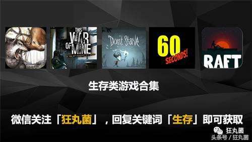 类似饥荒的生存游戏-和饥荒同类型的还有什么游戏