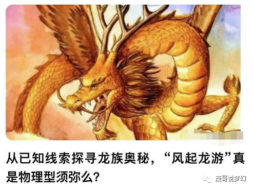 梦幻西游一个元宵加多少速度-梦幻西游先吃元宵还是先升级