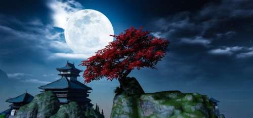 天刀手游拍照美景-天刀手游职业