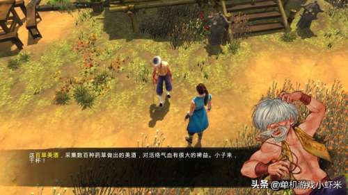 新武林群侠传2转风云技能-武林群侠传2横行江湖