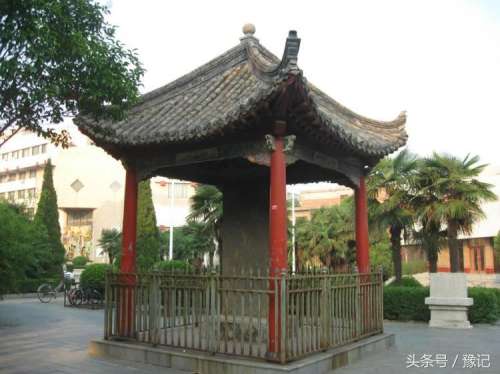 仙狐奇缘金蛋怎么养-金弹子在北方可以养吗