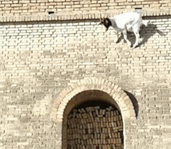梦三国2大乱斗怎么掉狮子碎片-梦三国传梦最快的获得方法
