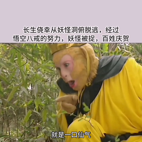西游记后传超清版30集-西游记后传50集免费观看