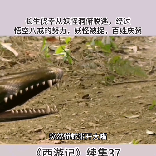 西游记后传超清版30集-西游记后传50集免费观看