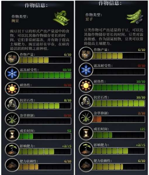 最远的边陲怎么防御-最远的边陲墓地