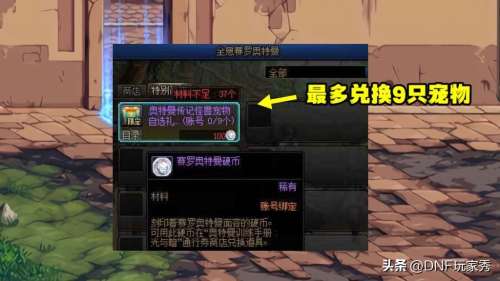 dnf职业宠物怎么获得-DNF怎么获得宠物