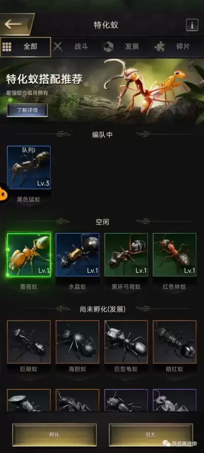 小小蚁国特殊队列阵容搭配，蚁族崛起前期阵容搭配
