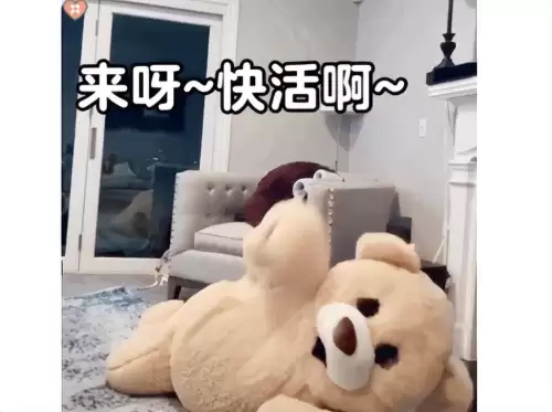 御剑红尘助战搭配阵容最新，御剑情缘