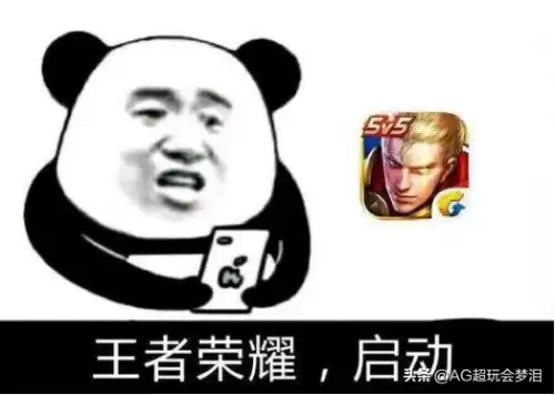 王者元歌搭配什么阵容最好，王者荣耀组合阵容