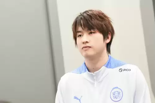 王者职业双辅阵容搭配最新，王者荣耀双排阵容
