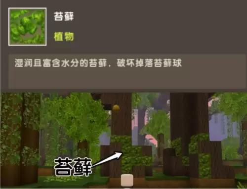 2021迷你世界大更新-迷你世界2021年的