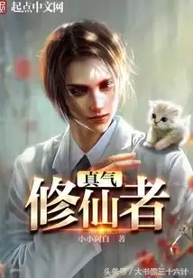 十年清风版权卖出去了吗-影视剧的版权是多少年