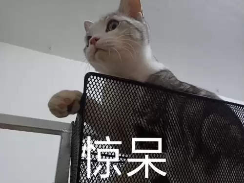最近很火的三国游戏叫什么-目前最火的三国游戏是哪个