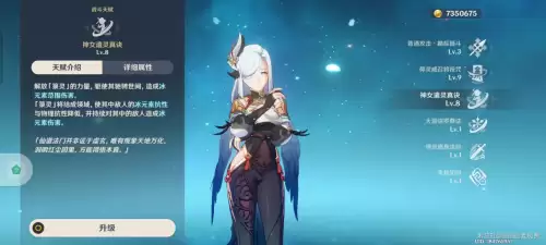 神女决攻略-女神诀手游双生子女