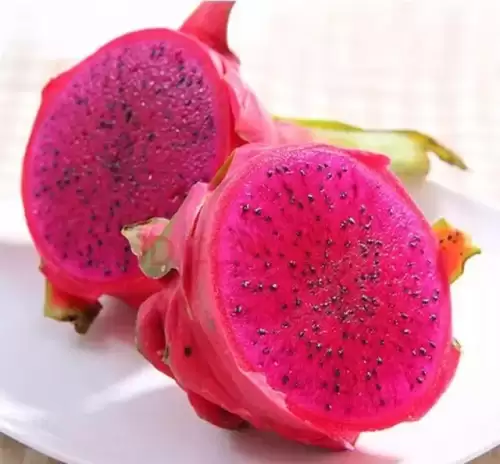 经常吃火龙果有什么好处-请问吃火龙果有什么好处
