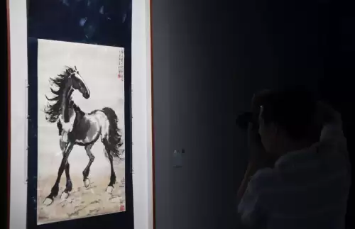 逃生公司小说讲的什么-恭喜你成功逃生讲的什么