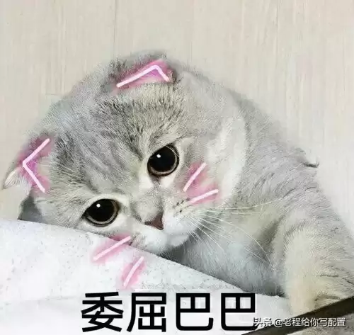 问道游戏吃显卡还是cpu-电脑是集成显卡可能问道5开吗