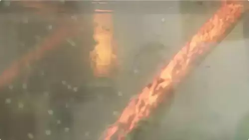 龙影刀剑-中国剑术流派